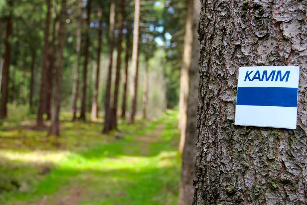 Landhaus Sonnentau Johanngeorgenstadt Kültér fotó