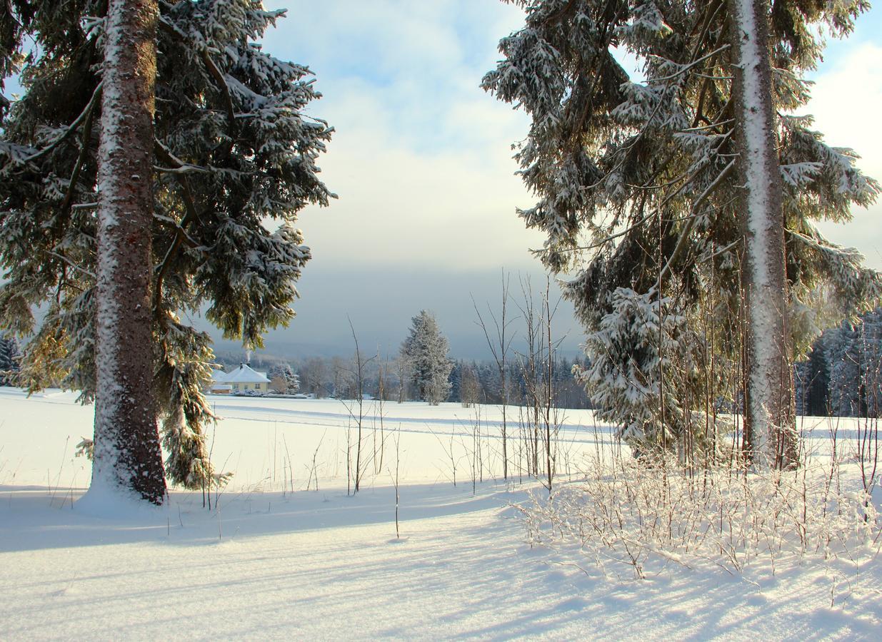 Landhaus Sonnentau Johanngeorgenstadt Kültér fotó